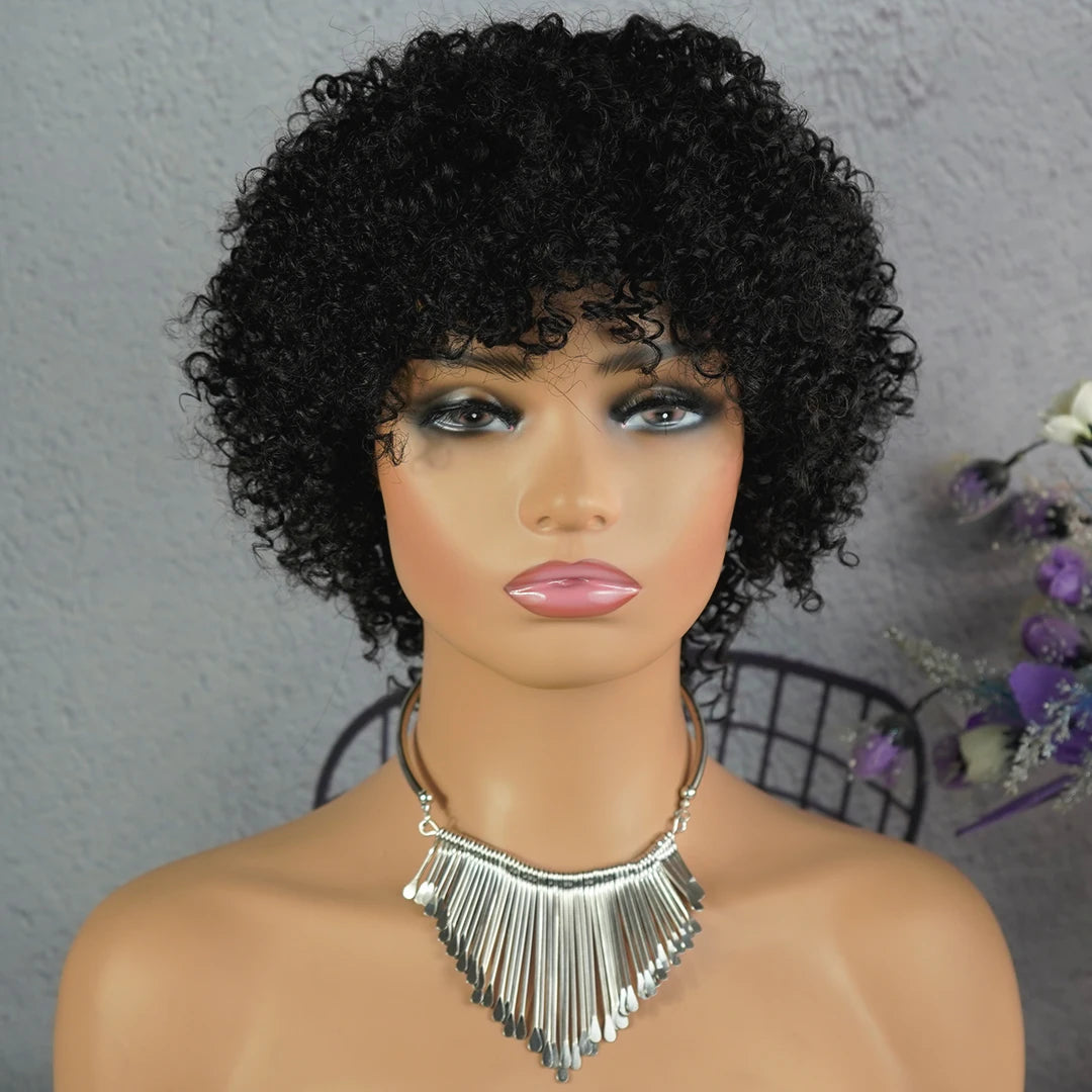 Highlight Afro Kinky Curly Human Hair Wigs
