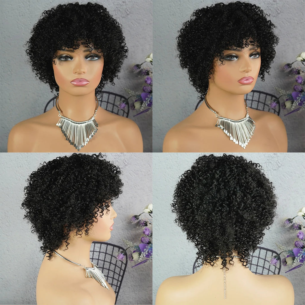 Highlight Afro Kinky Curly Human Hair Wigs