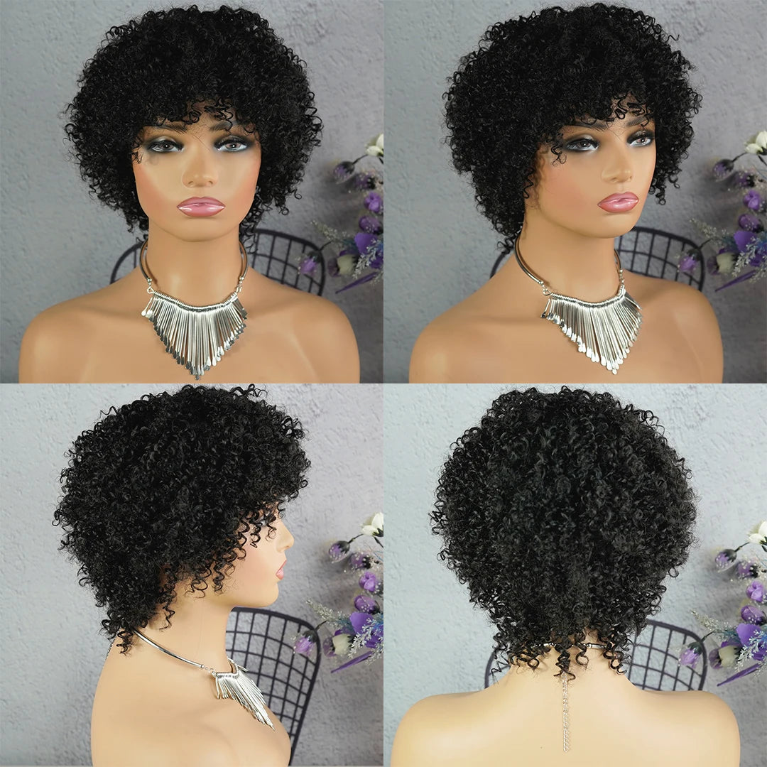Highlight Afro Kinky Curly Human Hair Wigs