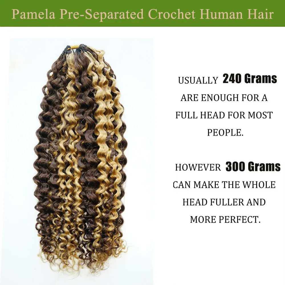 Highlight Colored Feather Crochet Hair 4/27 or Woman