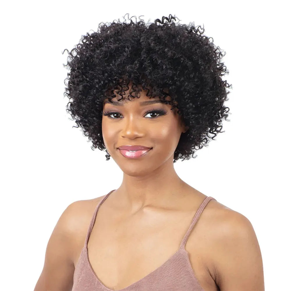 Highlight Afro Kinky Curly Human Hair Wigs